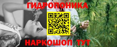 сатива Краснодар