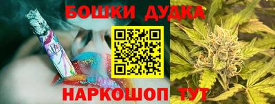 сатива Краснодар