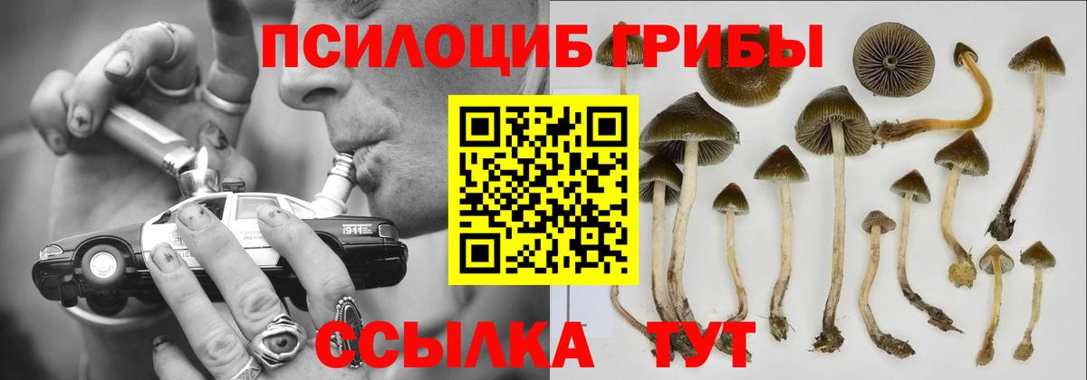 Изобильный  Галлюциногенные грибы мицелий  Галлюциногенные грибы MAGIC MUSHROOMS  Вход с VPN 